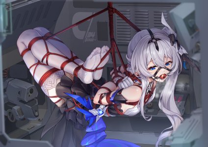 异端丶,崩坏3rd,德莉莎,捆绑play,breasts,口塞,丝袜,灰发,长发,白丝