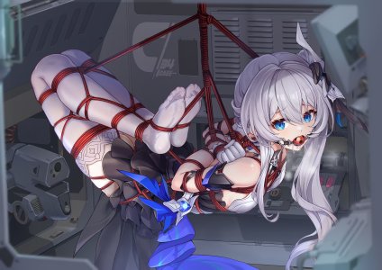 异端丶,崩坏3rd,德莉莎,捆绑play,breasts,口塞,丝袜,灰发,长发,白丝