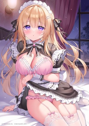 シオノ,bra,吊带袜,lingerie,女仆,开衫,胖次,掀裙,长筒袜,丝袜